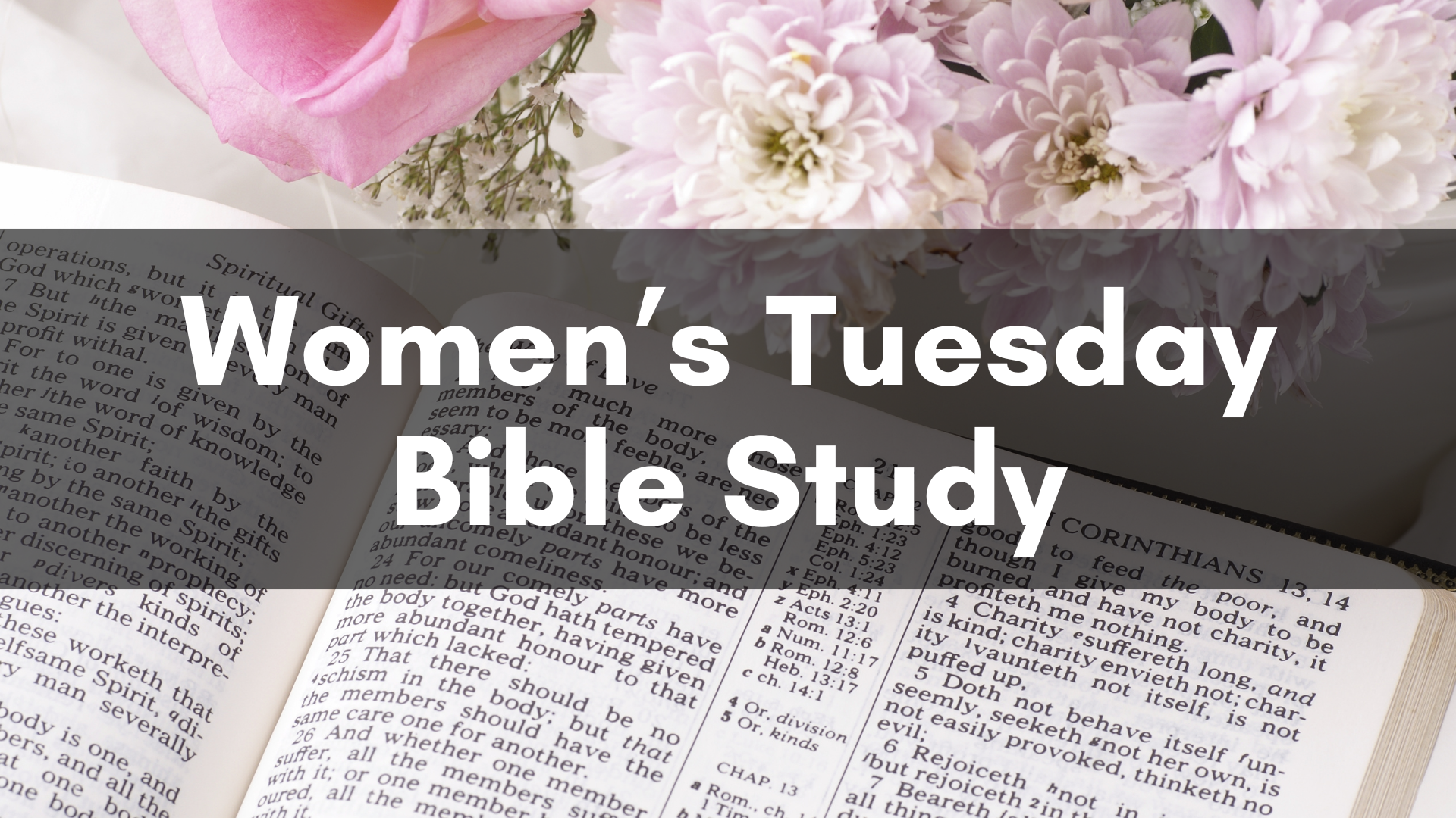 Women's Bible Study